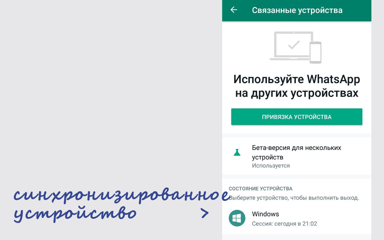 Блог Расимы Хисматуллиной | Как сделать синхронизацию ватсап - Блог Расимы  Хисматуллиной